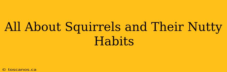 All About Squirrels and Their Nutty Habits