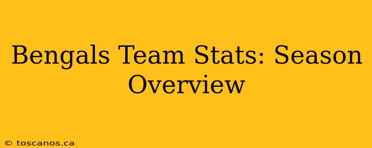 Bengals Team Stats: Season Overview