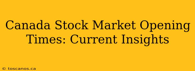 Canada Stock Market Opening Times: Current Insights