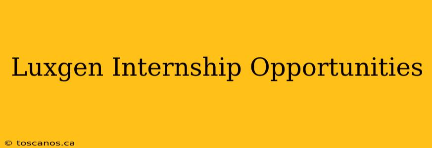 Luxgen Internship Opportunities