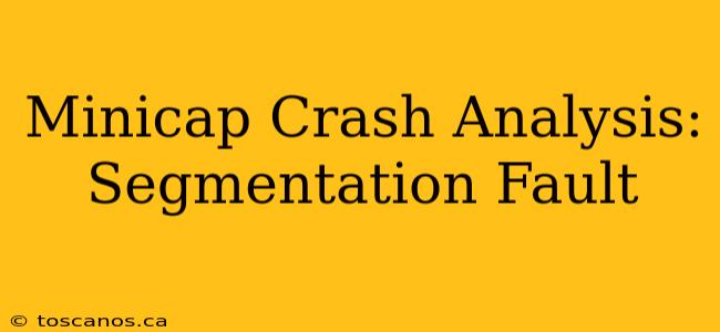 Minicap Crash Analysis: Segmentation Fault
