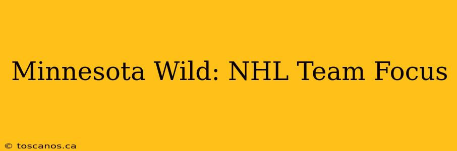 Minnesota Wild: NHL Team Focus