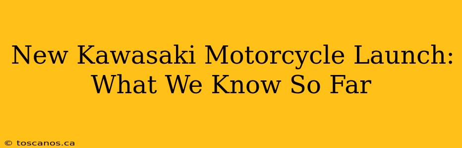 New Kawasaki Motorcycle Launch: What We Know So Far
