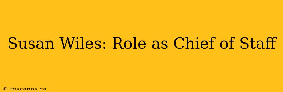 Susan Wiles: Role as Chief of Staff