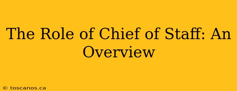 The Role of Chief of Staff: An Overview