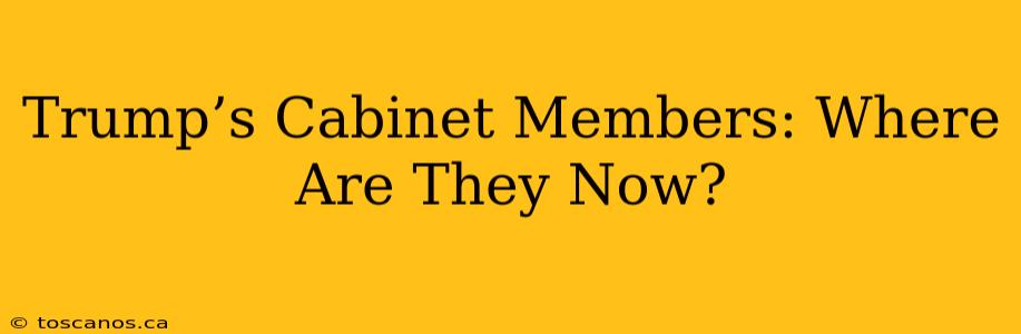 Trump’s Cabinet Members: Where Are They Now?