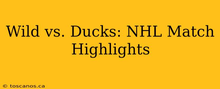 Wild vs. Ducks: NHL Match Highlights